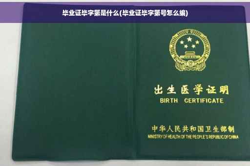 毕业证毕字第是什么(毕业证毕字第号怎么编)