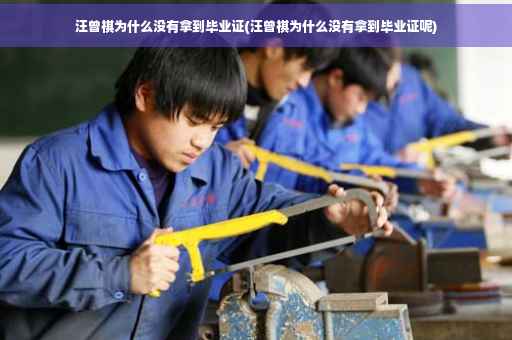汪曾祺为什么没有拿到毕业证(汪曾祺为什么没有拿到毕业证呢)