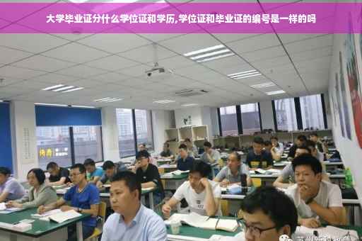 大学毕业证分什么学位证和学历,学位证和毕业证的编号是一样的吗