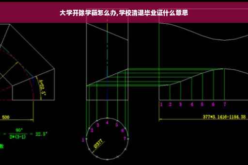 大学开除学籍怎么办,学校清退毕业证什么意思