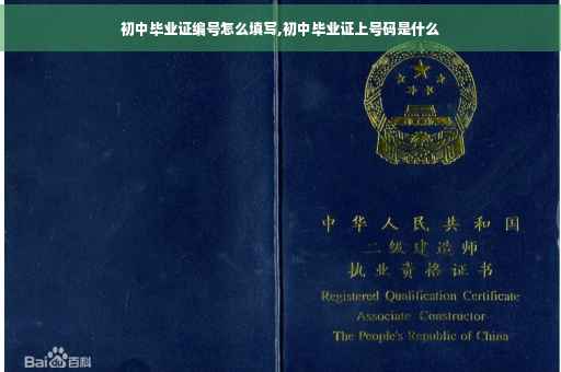 初中毕业证编号怎么填写,初中毕业证上号码是什么