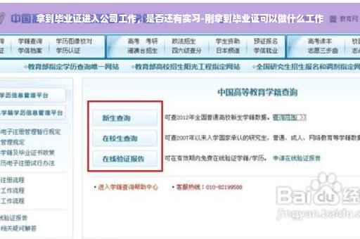 拿到毕业证进入公司工作，是否还有实习-刚拿到毕业证可以做什么工作