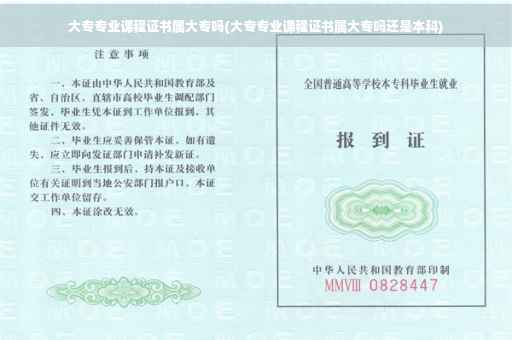 大专专业课程证书属大专吗(大专专业课程证书属大专吗还是本科)
