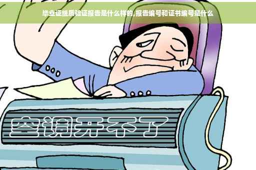 毕业证纸质验证报告是什么样的,报告编号和证书编号是什么