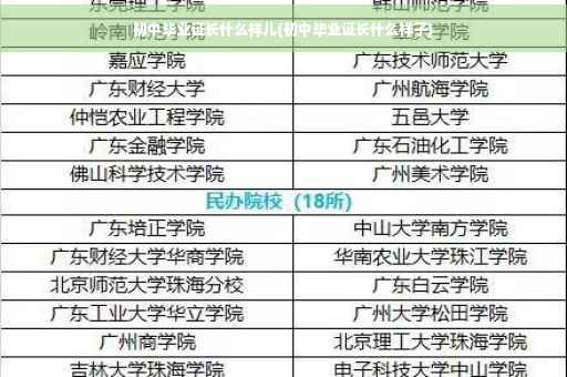 初中毕业证长什么样儿(初中毕业证长什么样子)