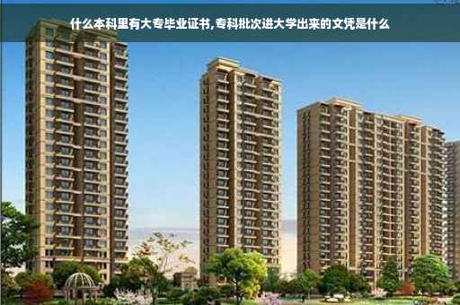 什么本科里有大专毕业证书,专科批次进大学出来的文凭是什么
