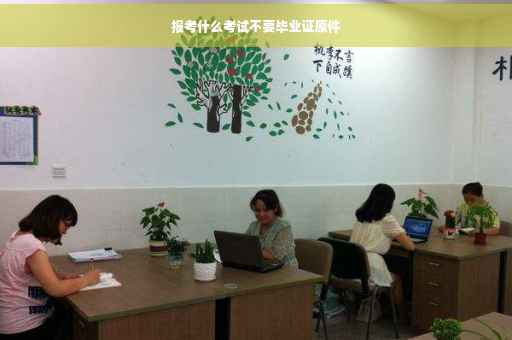 报考什么考试不要毕业证原件
