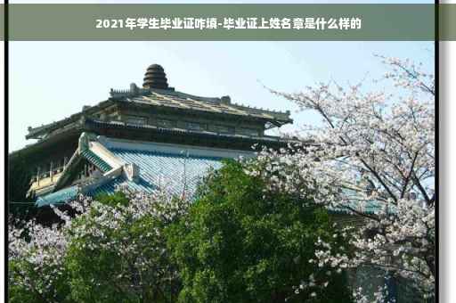 2021年学生毕业证咋填-毕业证上姓名章是什么样的