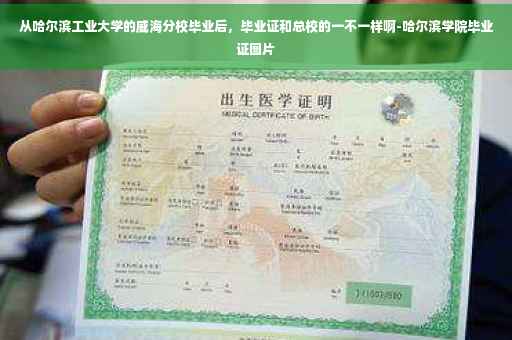 从哈尔滨工业大学的威海分校毕业后，毕业证和总校的一不一样啊-哈尔滨学院毕业证图片