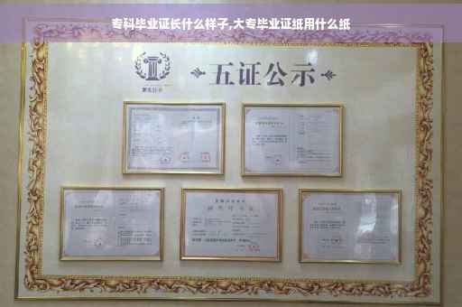 专科毕业证长什么样子,大专毕业证纸用什么纸