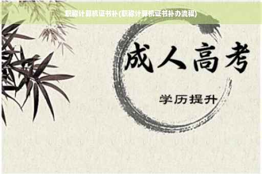 职称计算机证书补(职称计算机证书补办流程)