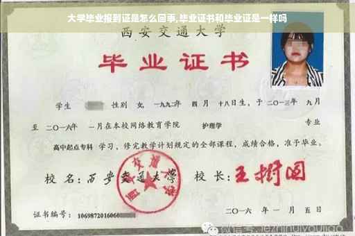 大学毕业报到证是怎么回事,毕业证书和毕业证是一样吗
