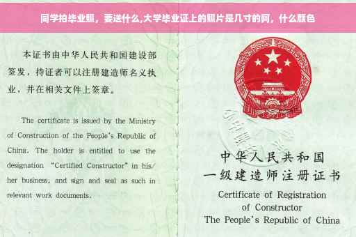 同学拍毕业照，要送什么,大学毕业证上的照片是几寸的阿，什么颜色