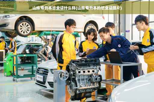 山东专升本毕业证什么样(山东专升本的毕业证图片)