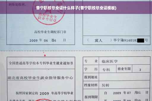 普宁职校毕业证什么样子(普宁职校毕业证模板)