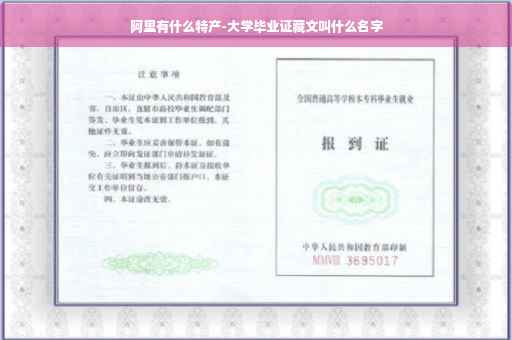 阿里有什么特产-大学毕业证藏文叫什么名字