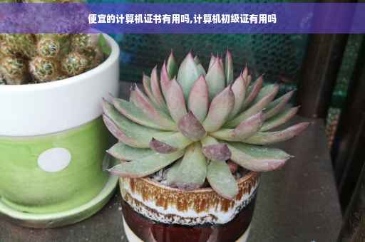 便宜的计算机证书有用吗,计算机初级证有用吗