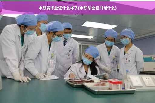 中职类毕业证什么样子(中职毕业证书是什么)