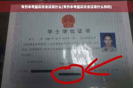 专升本考最后毕业证是什么(专升本考最后毕业证是什么样的)