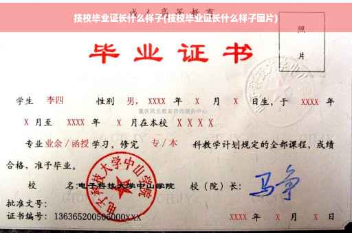 技校毕业证长什么样子(技校毕业证长什么样子图片)