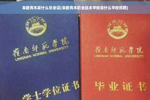 阜新青木发什么毕业证(阜新青木职业技术学校是什么学校招聘)