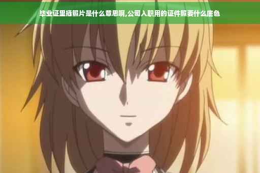 毕业证里插照片是什么意思啊,公司入职用的证件照要什么底色
