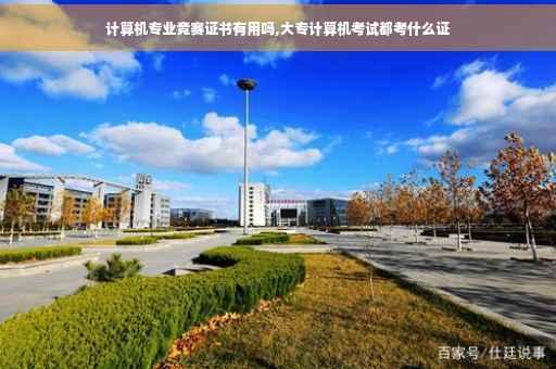 计算机专业竞赛证书有用吗,大专计算机考试都考什么证
