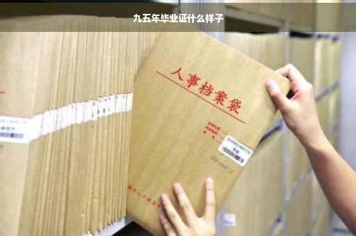 九五年毕业证什么样子