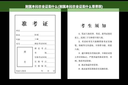 附属本科毕业证是什么(附属本科毕业证是什么意思啊)