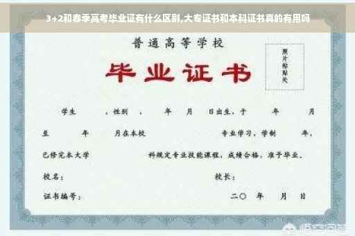 3+2和春季高考毕业证有什么区别,大专证书和本科证书真的有用吗