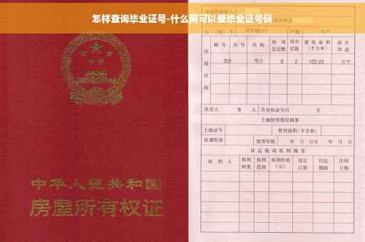 怎样查询毕业证号-什么网可以查毕业证号码