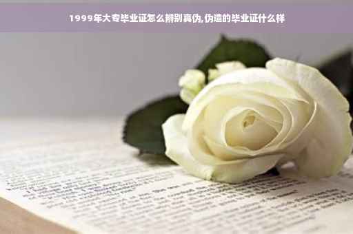 1999年大专毕业证怎么辨别真伪,伪造的毕业证什么样