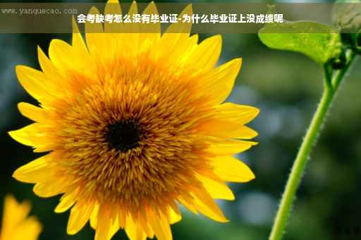 会考缺考怎么没有毕业证-为什么毕业证上没成绩呢