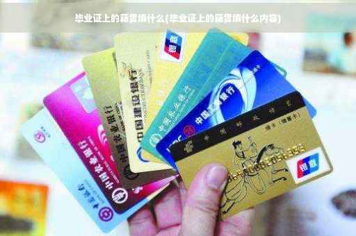 毕业证上的籍贯填什么(毕业证上的籍贯填什么内容)