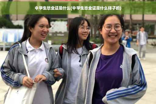 中学生毕业证是什么(中学生毕业证是什么样子的)