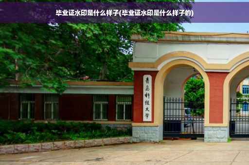 毕业证水印是什么样子(毕业证水印是什么样子的)