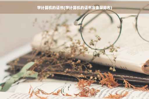 学计算机的证书(学计算机的证书含金量排名)