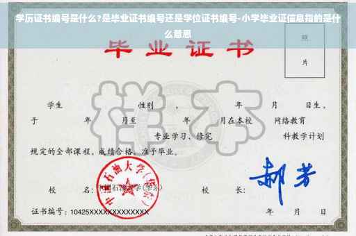 学历证书编号是什么?是毕业证书编号还是学位证书编号-小学毕业证信息指的是什么意思