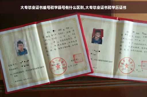 大专毕业证书编号和学籍号有什么区别,大专毕业证书和学历证书