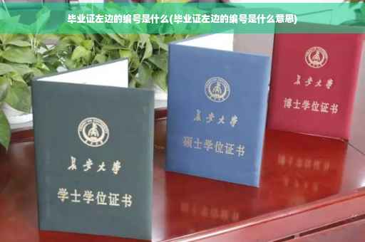 毕业证左边的编号是什么(毕业证左边的编号是什么意思)