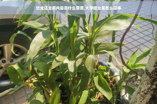 毕业证主要内容是什么意思,大学结业是怎么回事