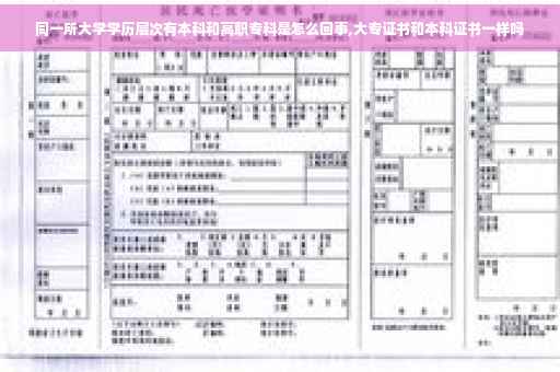 同一所大学学历层次有本科和高职专科是怎么回事,大专证书和本科证书一样吗