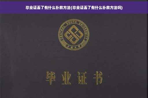 毕业证丢了有什么补救方法(毕业证丢了有什么补救方法吗)