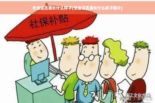 毕业证页面长什么样子(毕业证页面长什么样子图片)
