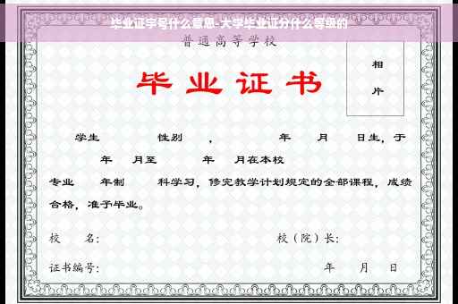 毕业证字号什么意思-大学毕业证分什么等级的
