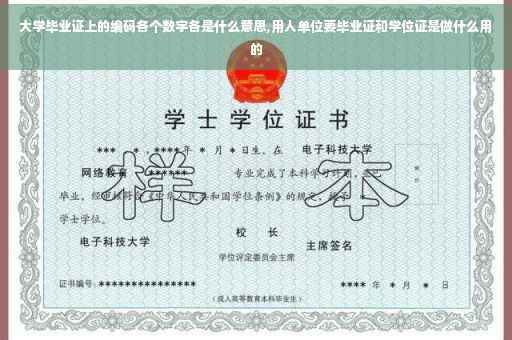 大学毕业证上的编码各个数字各是什么意思,用人单位要毕业证和学位证是做什么用的