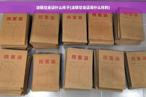 法硕毕业证什么样子(法硕毕业证是什么样的)