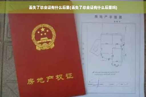 丢失了毕业证有什么后果(丢失了毕业证有什么后果吗)