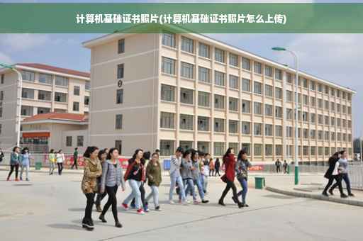 计算机基础证书照片(计算机基础证书照片怎么上传)