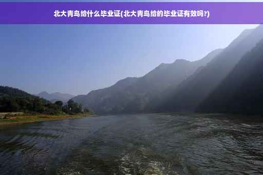 北大青鸟给什么毕业证(北大青鸟给的毕业证有效吗?)